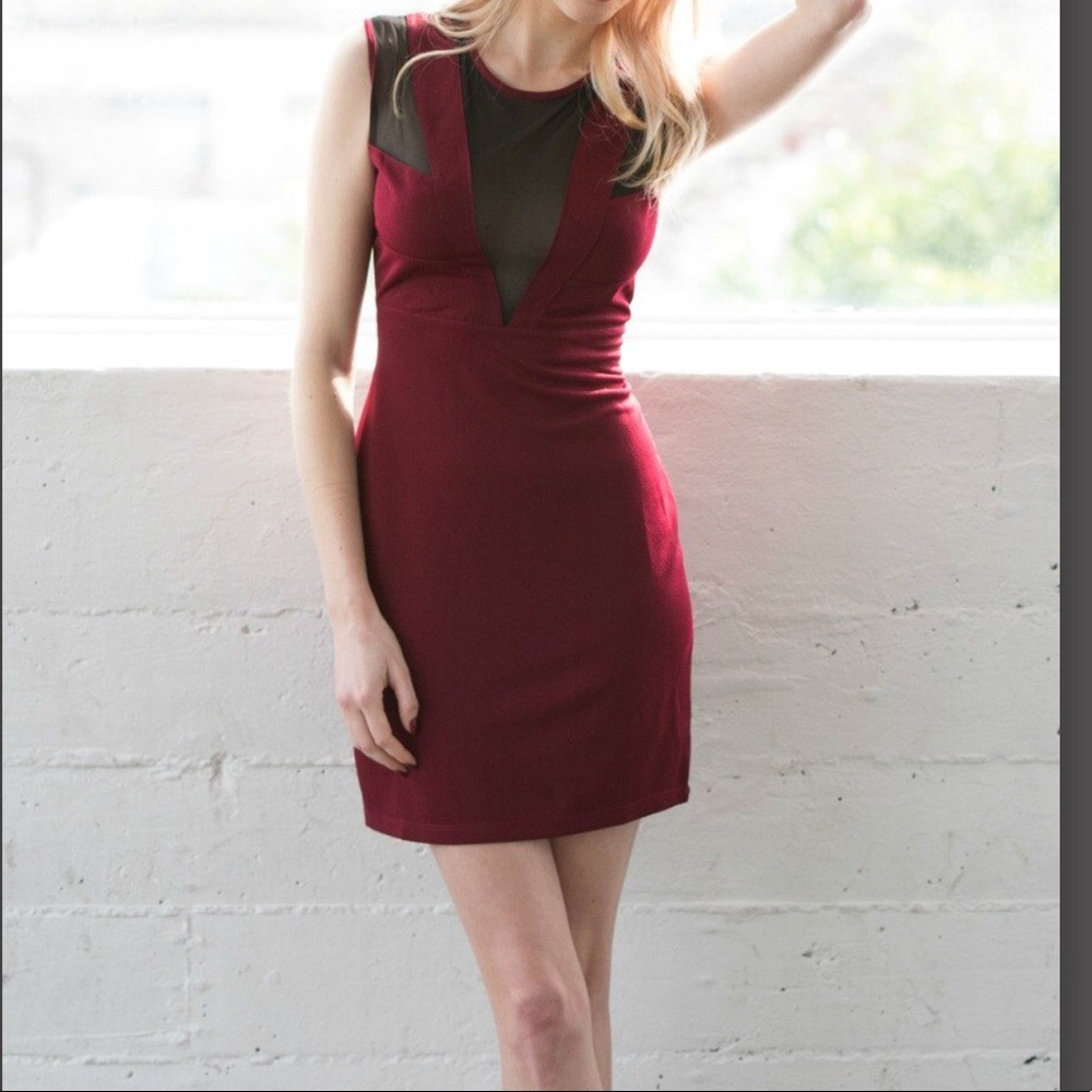 Burgundy and Black Mesh Bodycon Party Dress